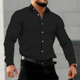 Men's Lapel Long Sleeve Shirt 27104714L