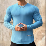 Men‘s Solid Color Stripes Fitness Long Sleeve Quick Drying Elastic T-Shirt 26468719YY