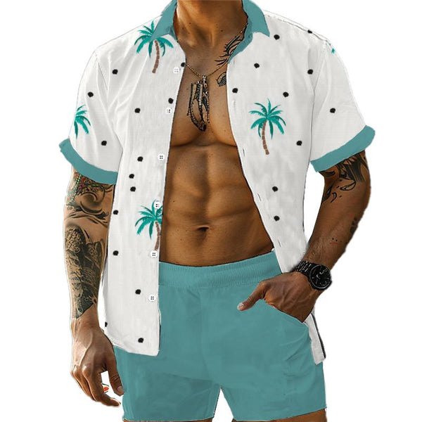 Men's Casual Printed Hawaii Lapel Shirt and Shorts Sets 99753304YY