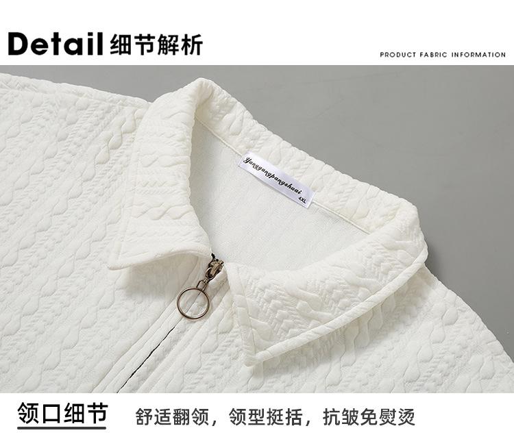 Men's Polo Shirt Casual Long Sleeve Sweatshirt 56895792YM